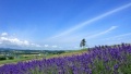 嗯~哼~啊~av日本一地6日游  境外旅游 6880元/人